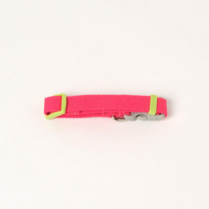 Dog Coller カラフルで小型犬向き