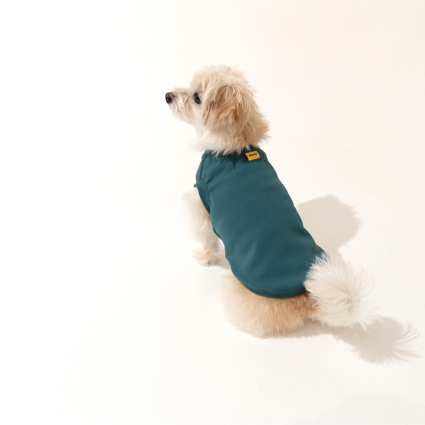 DOG クーリングタンク