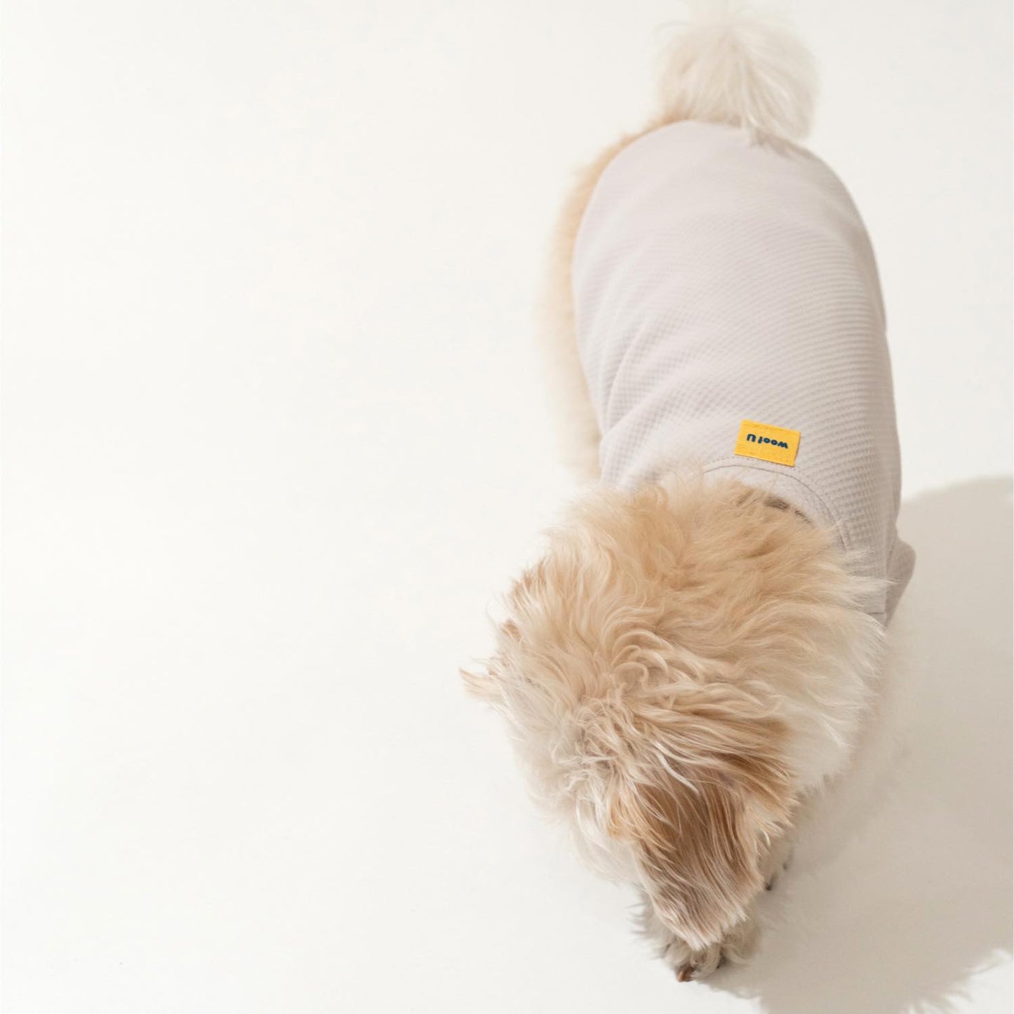 DOG クーリングタンク
