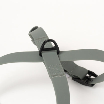 OTTO DOG HARNESS