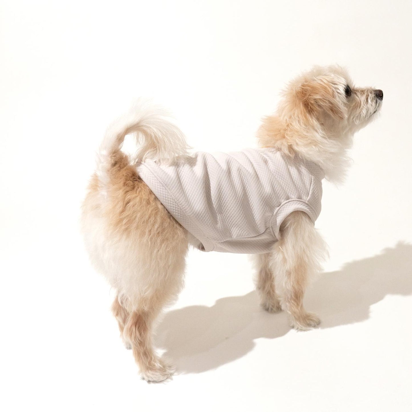 DOG クーリングタンク