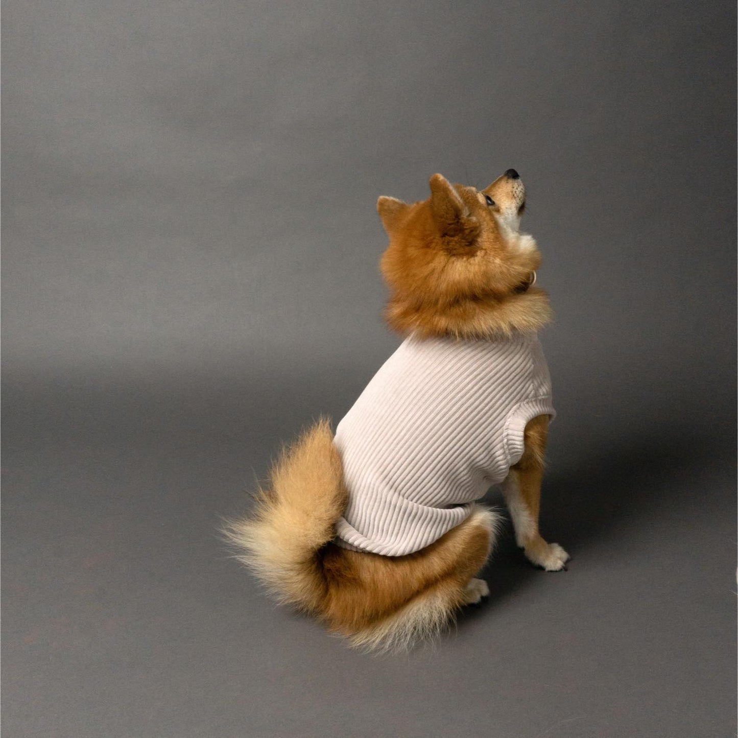 woof U Re-BORN Label ドッグウェア コーデュロイ
