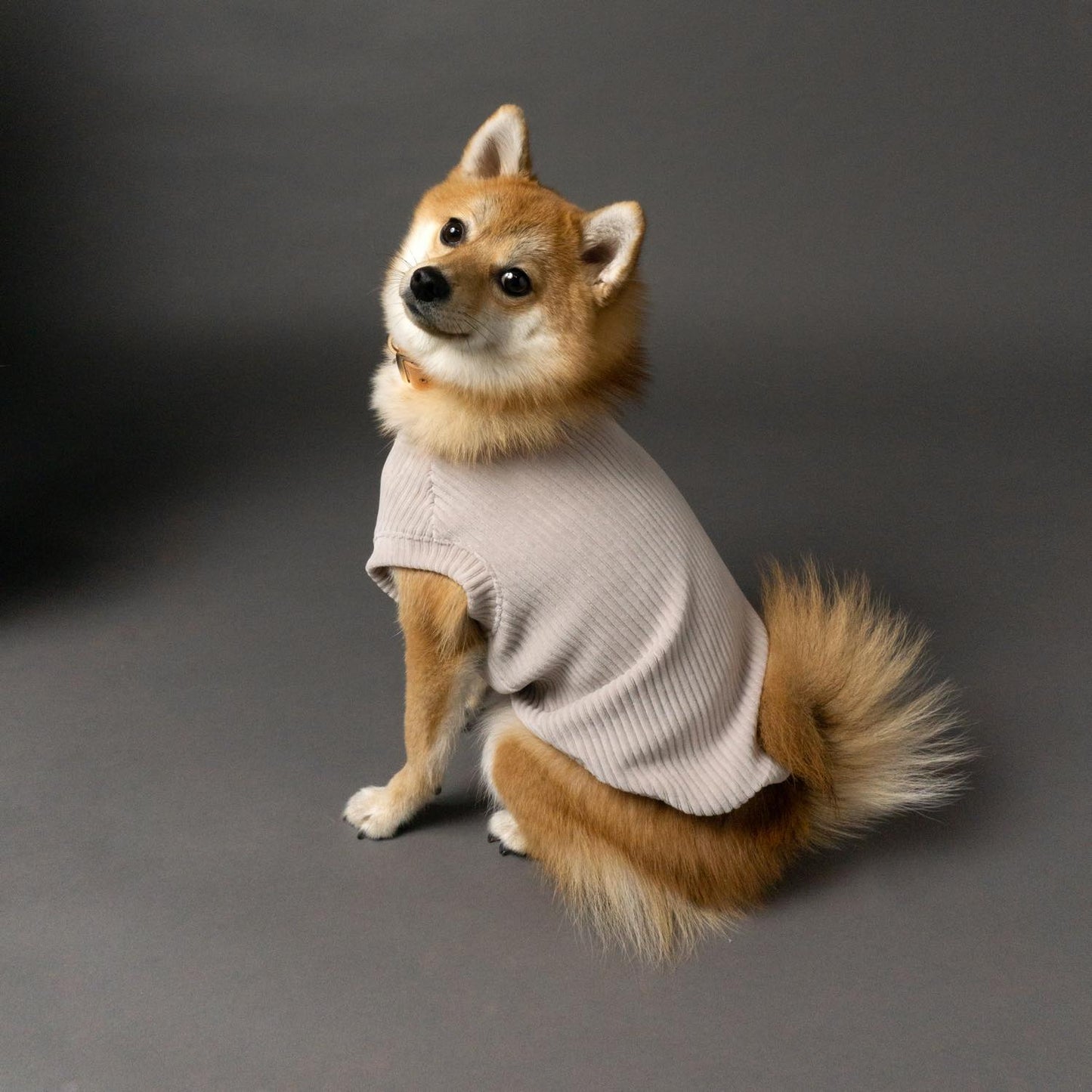 woof U Re-BORN Label ドッグウェア コーデュロイ
