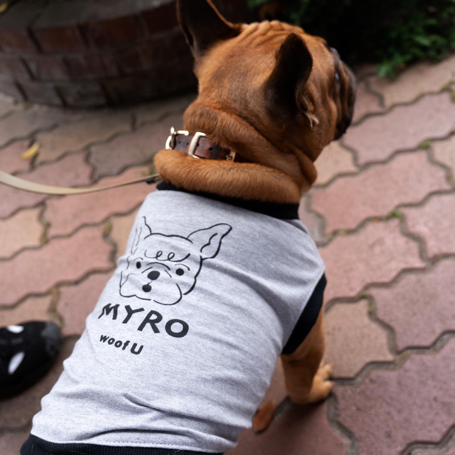 ONE DOG, ONE TEE 世界に一枚。うちの子のドッグTシャツ。