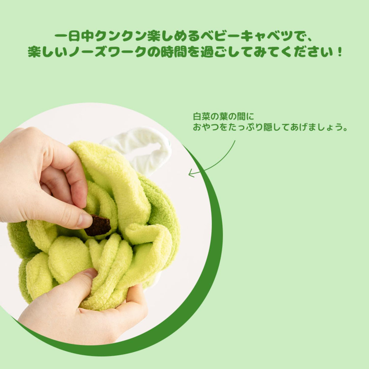 フレッシュ ベビーキャベツ ノーズワークトイ