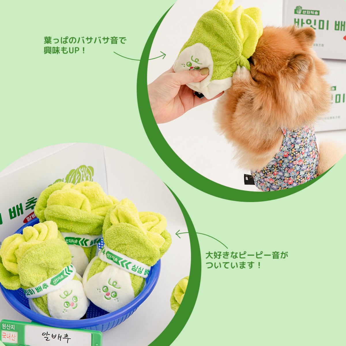 フレッシュ ベビーキャベツ ノーズワークトイ