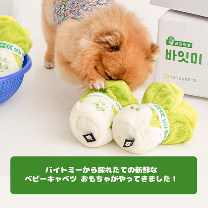 フレッシュ ベビーキャベツ ノーズワークトイ