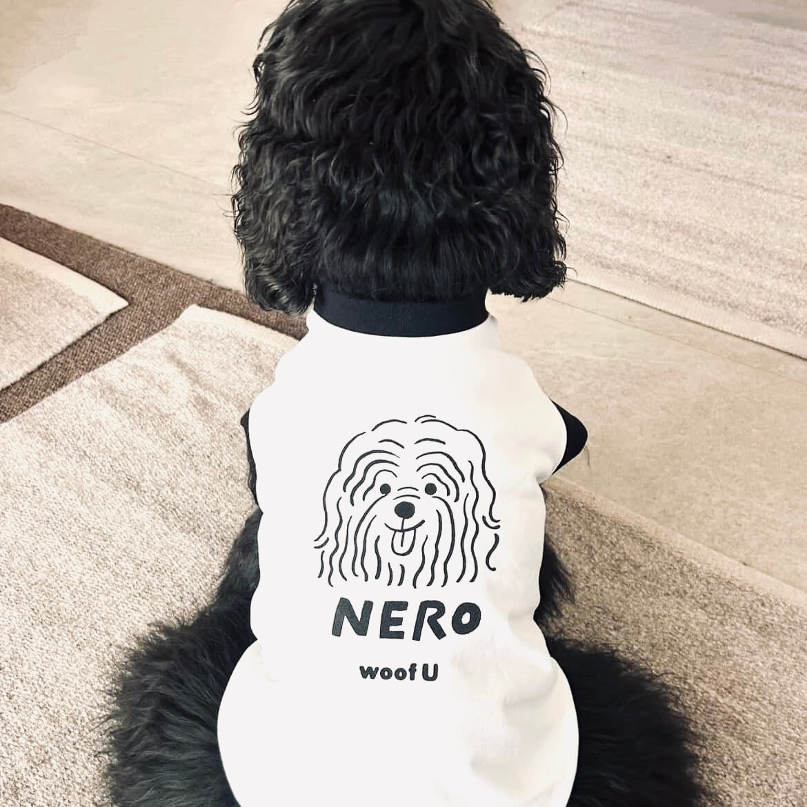 ONE DOG, ONE TEE 世界に一枚。うちの子のドッグTシャツ。