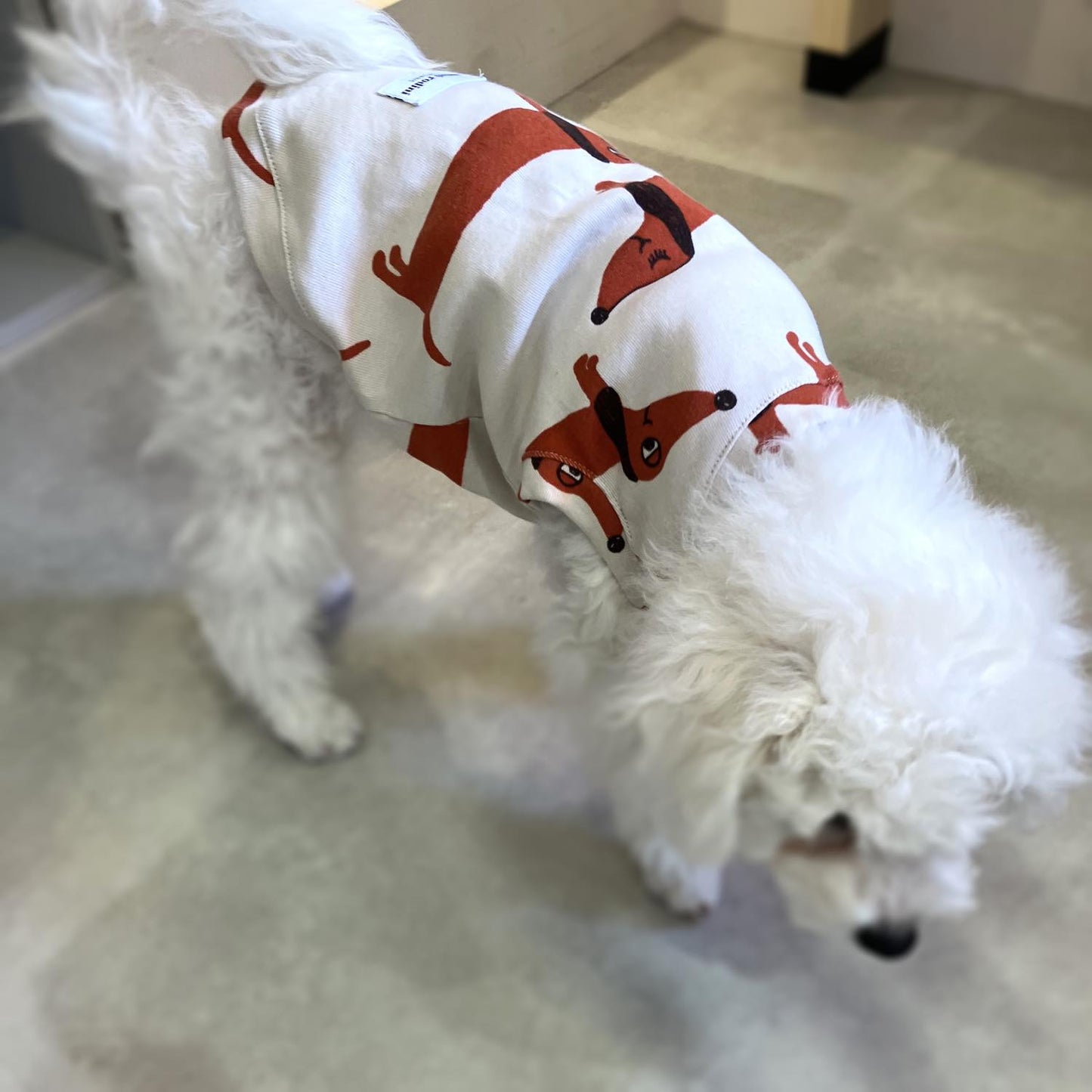 リメイク DOG WEAR オーダー