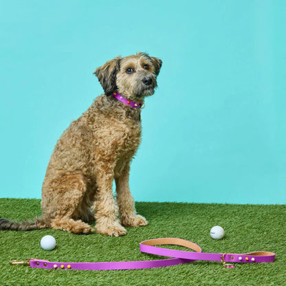 SMOOTH SPIKE DOG LEASH ULTRA VIOLET