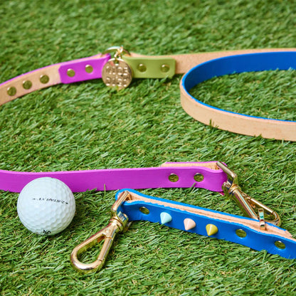 Adjustable Leather Dog Leash Fun Fair