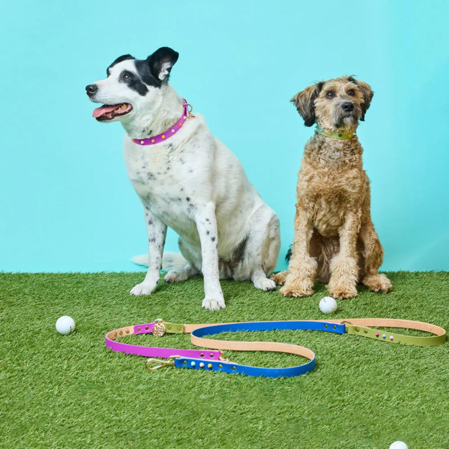 Adjustable Leather Dog Leash Fun Fair