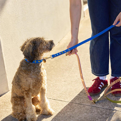 Adjustable Leather Dog Leash Fun Fair