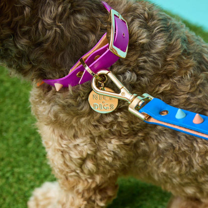 SMOOTH SPIKE DOG COLLAR ULTRA VIOLET