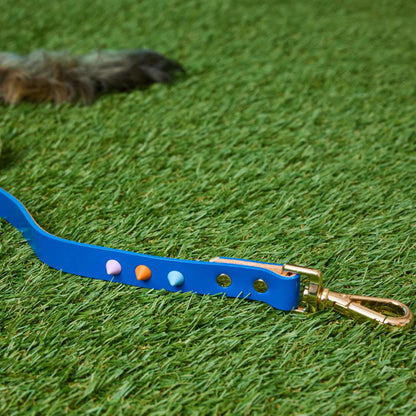 SMOOTH SPIKE DOG LEASH SALT COAST