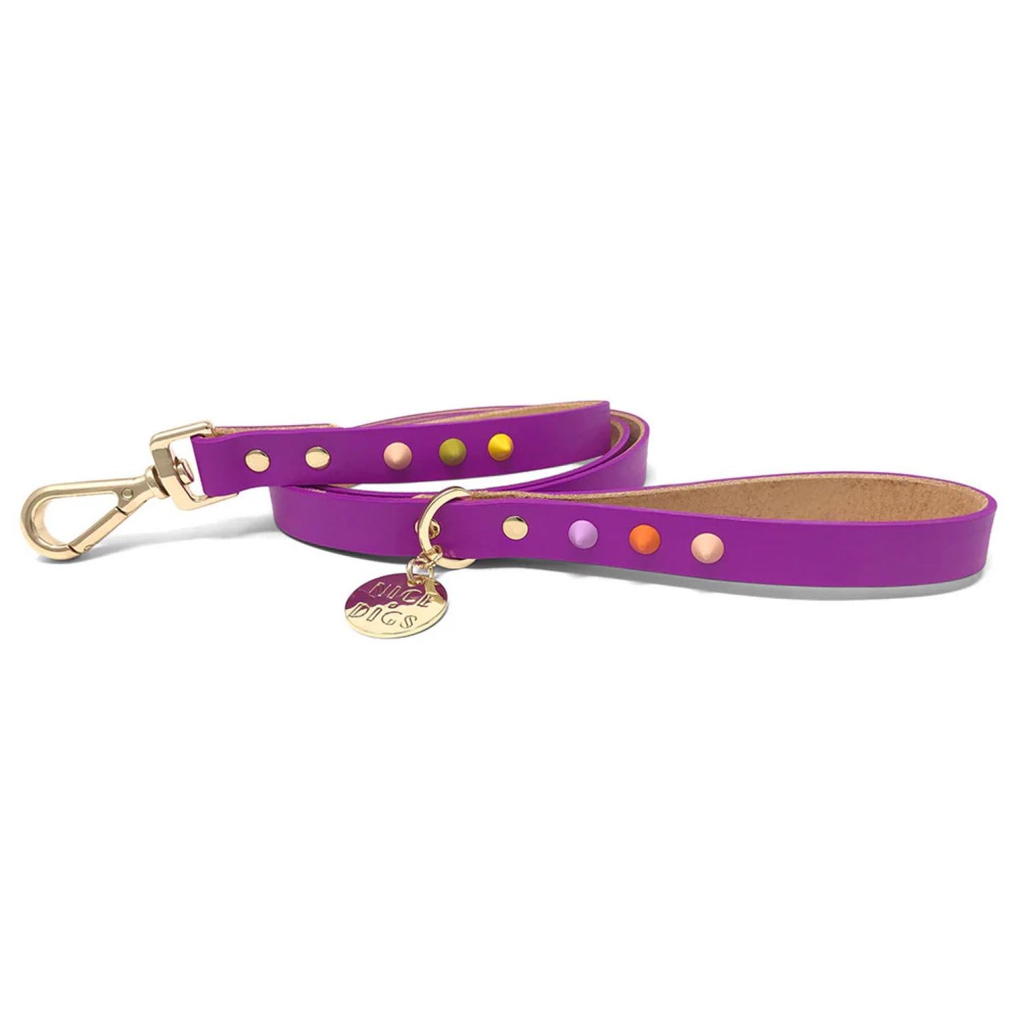 SMOOTH SPIKE DOG LEASH ULTRA VIOLET