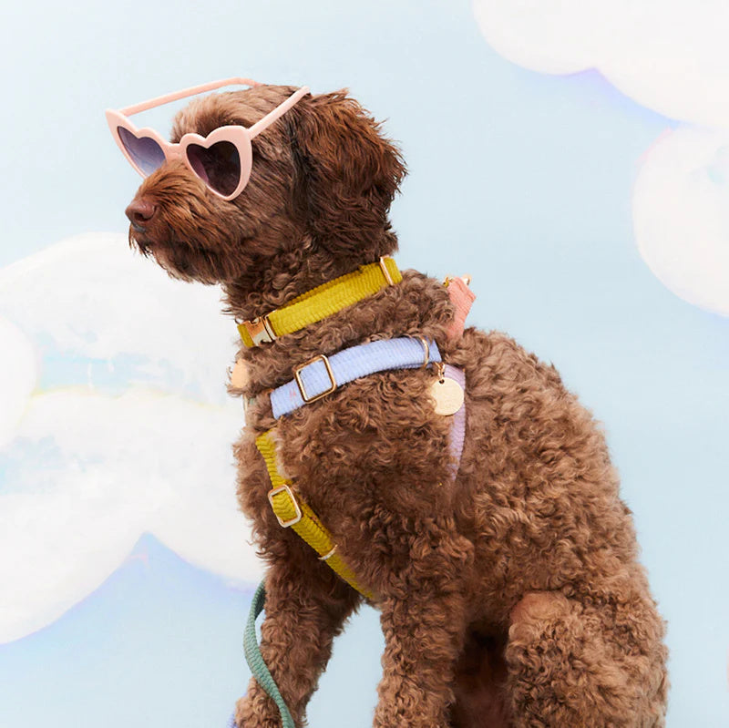 CORD DOG HARNESS TENDER HUG