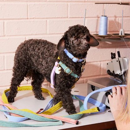 CORD DOG HARNESS TENDER HUG