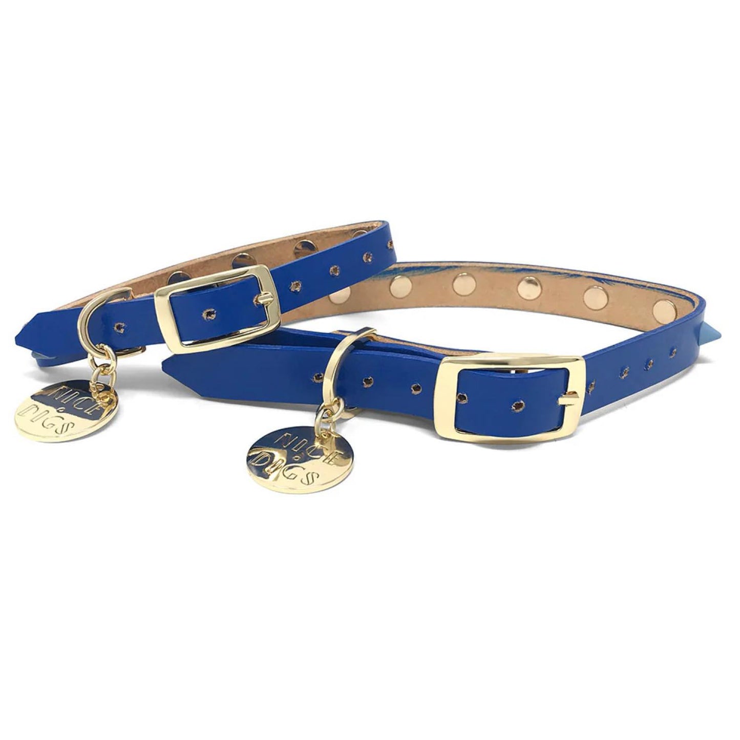 SMOOTH SPIKE DOG COLLAR SALT COAST