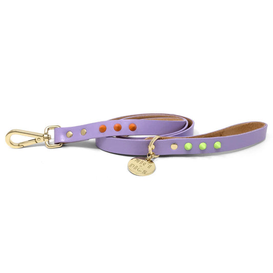 smooth spike dog leash (sherbet)