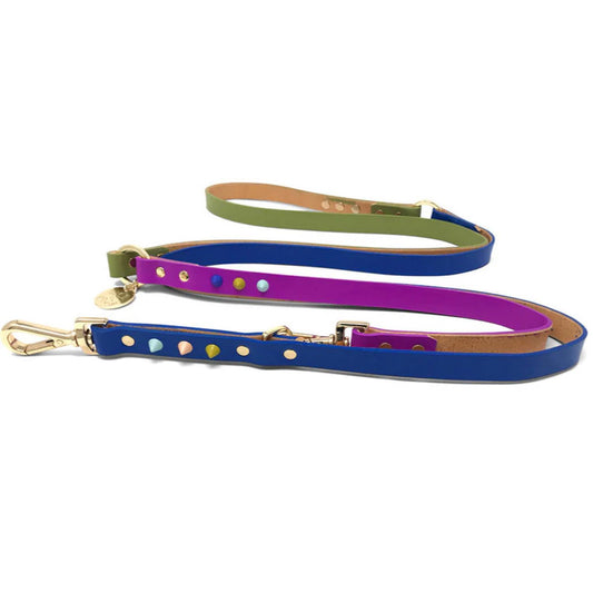 Adjustable Leather Dog Leash Fun Fair