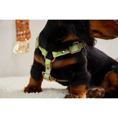 smooth spike dog harness (lime pistachio)