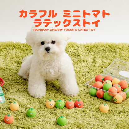 カラフル ミニトマト ラテックストイ