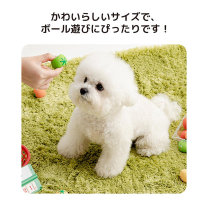 カラフル ミニトマト ラテックストイ