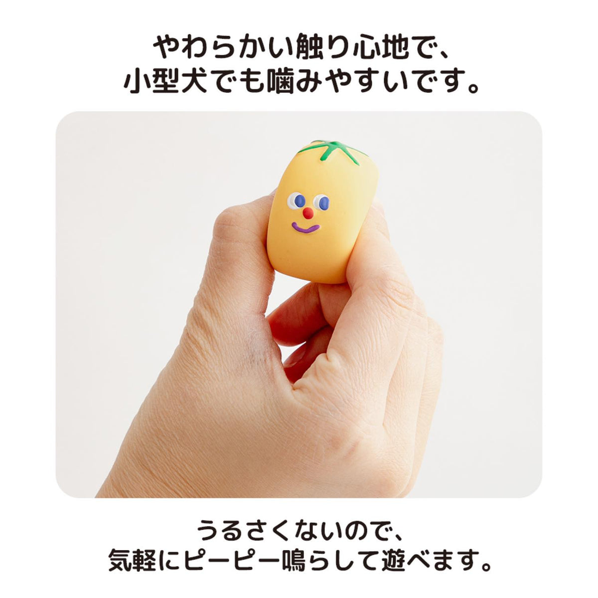 カラフル ミニトマト ラテックストイ