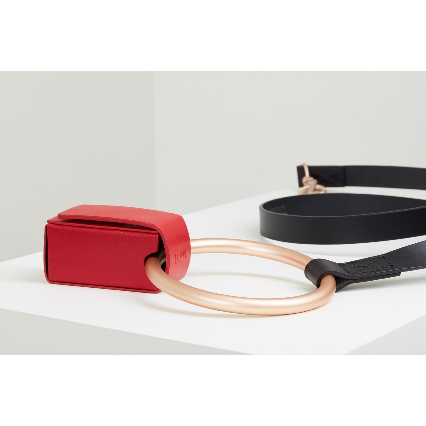 Toto Bag 犬の散歩用ミニレザーバッグ。