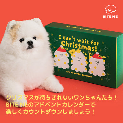 アドベントカレンダー