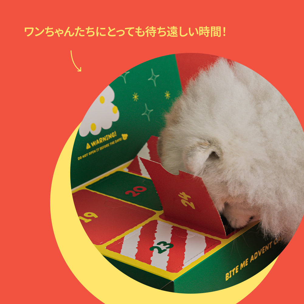 アドベントカレンダー – woof U