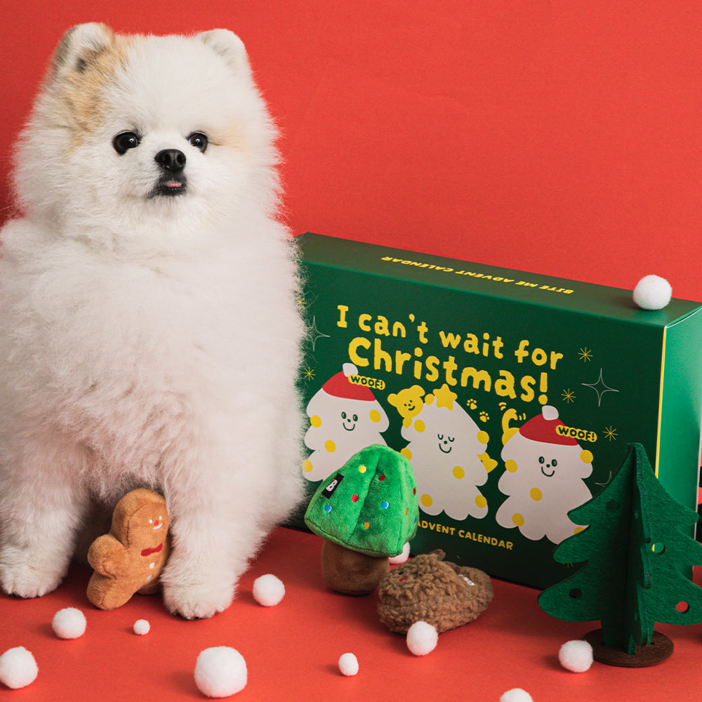 アドベントカレンダー