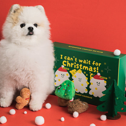 アドベントカレンダー