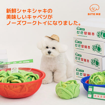 キャベツくんくんボールおもちゃ