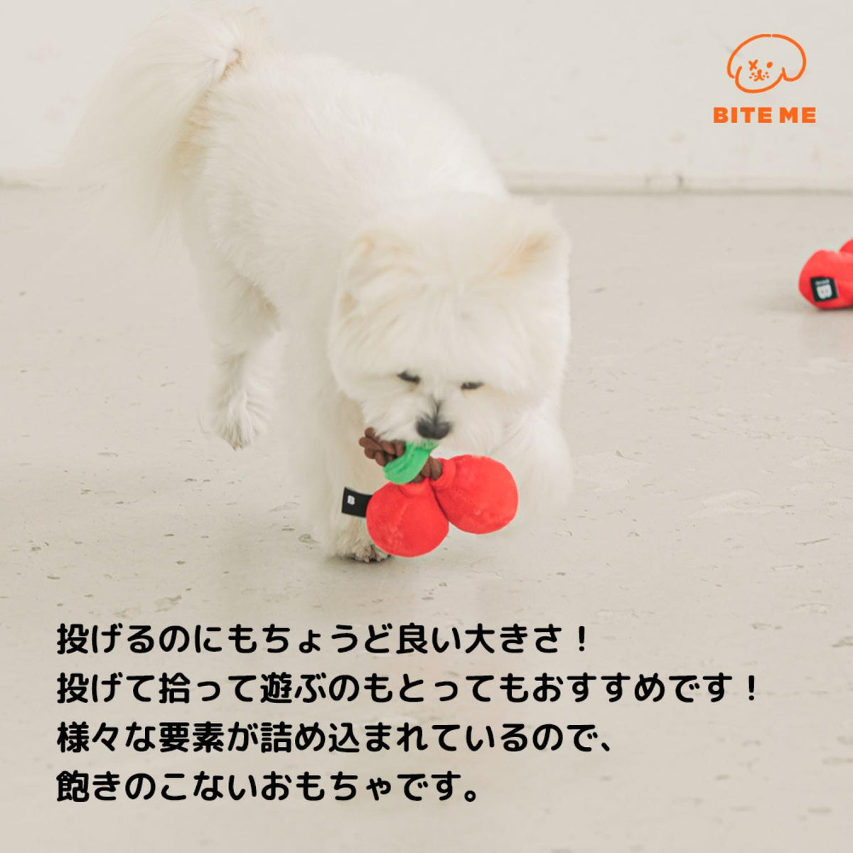 チェリーロープおもちゃ