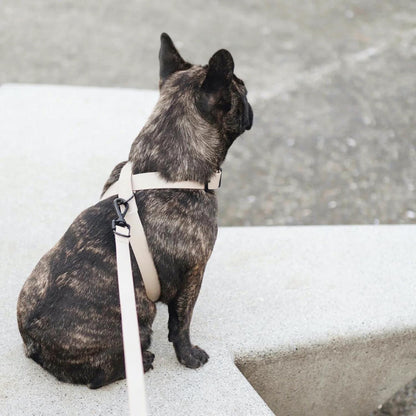 OTTO DOG HARNESS