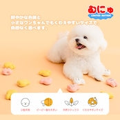 むにゅ プクプク ラテックスおもちゃ