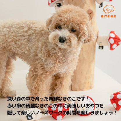 きのこノーズワークおもちゃ