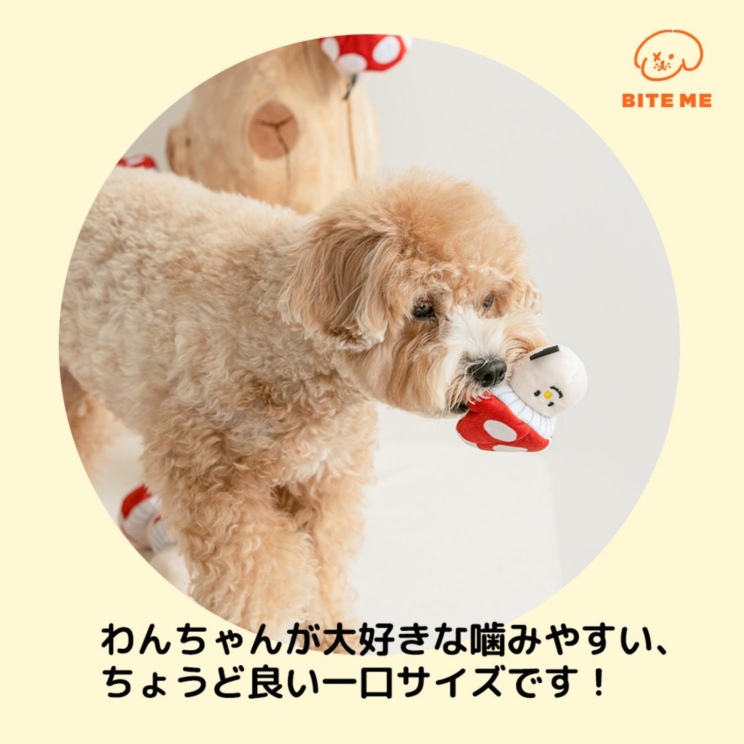 きのこノーズワークおもちゃ