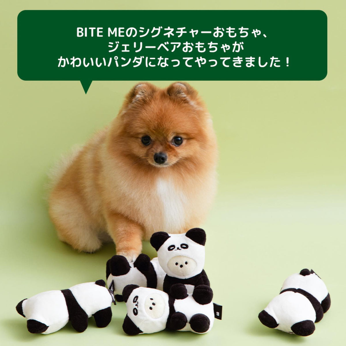 パンダジェリーベアおもちゃ