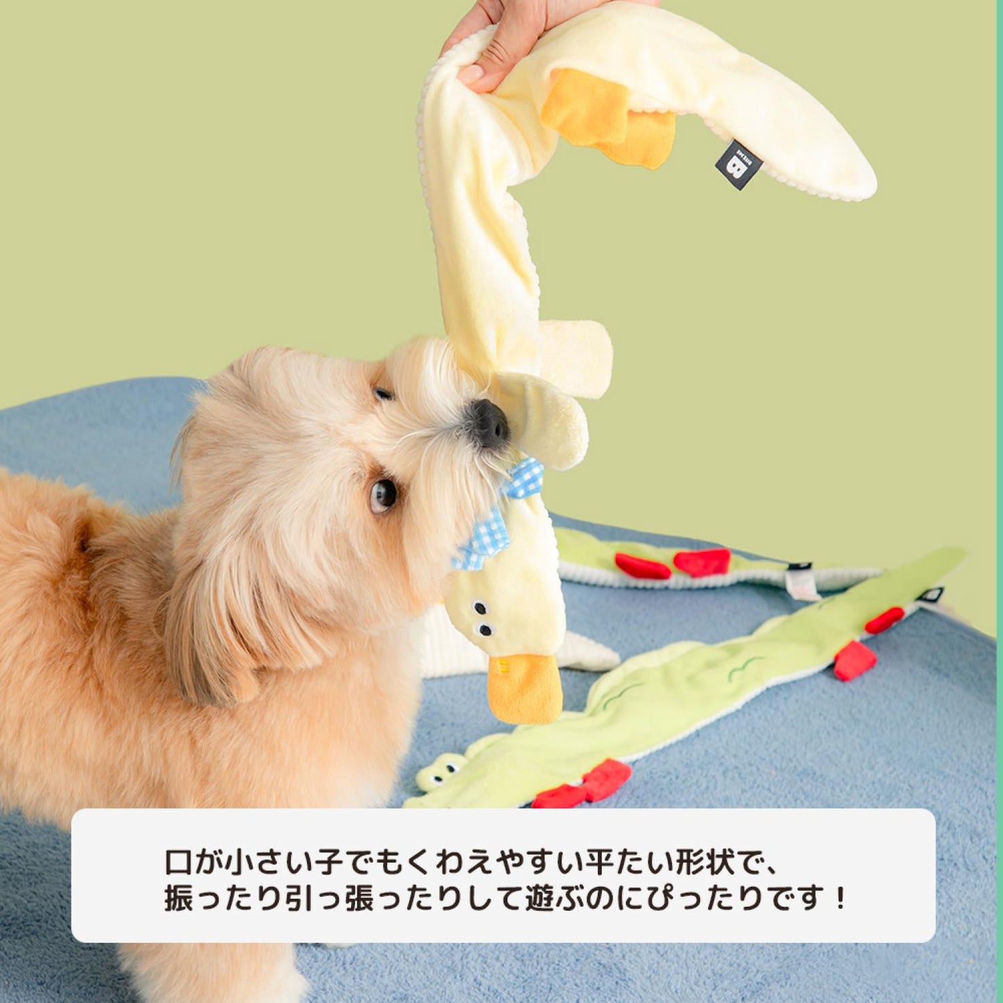 ロンロンズ引っ張りっこおもちゃ