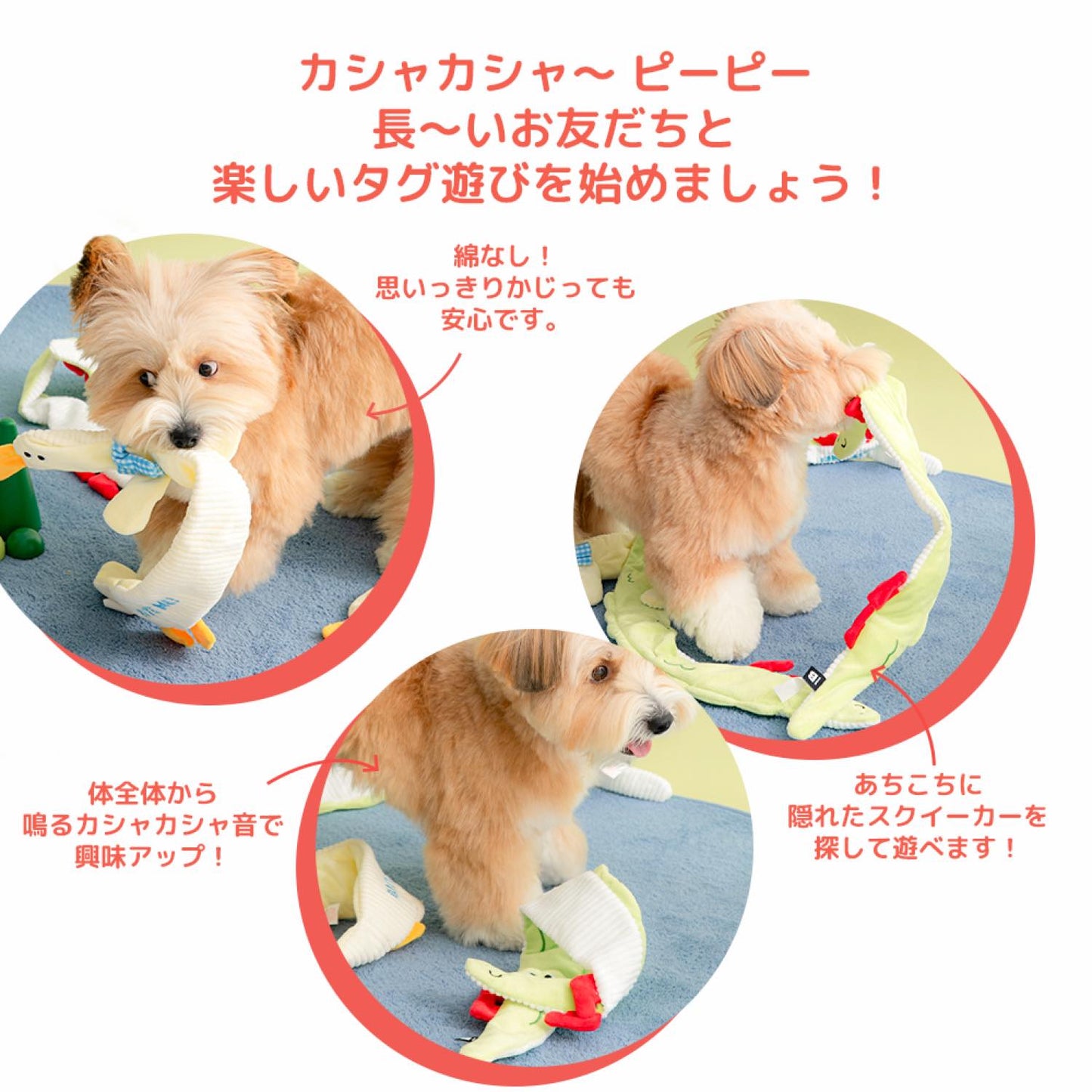 ロンロンズ引っ張りっこおもちゃ