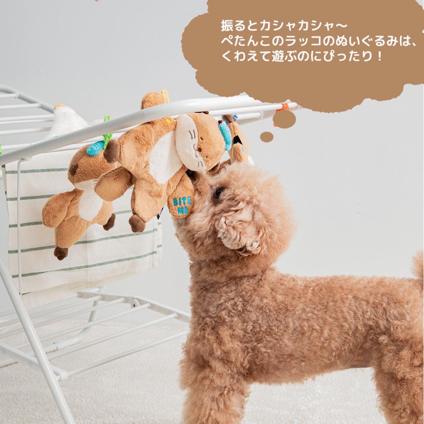 ハグミーラッコおもちゃ
