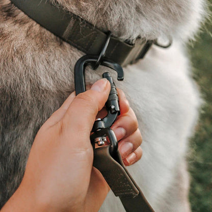 MELLEM WATERPROOF CONVERTIBLE LEASH PINE