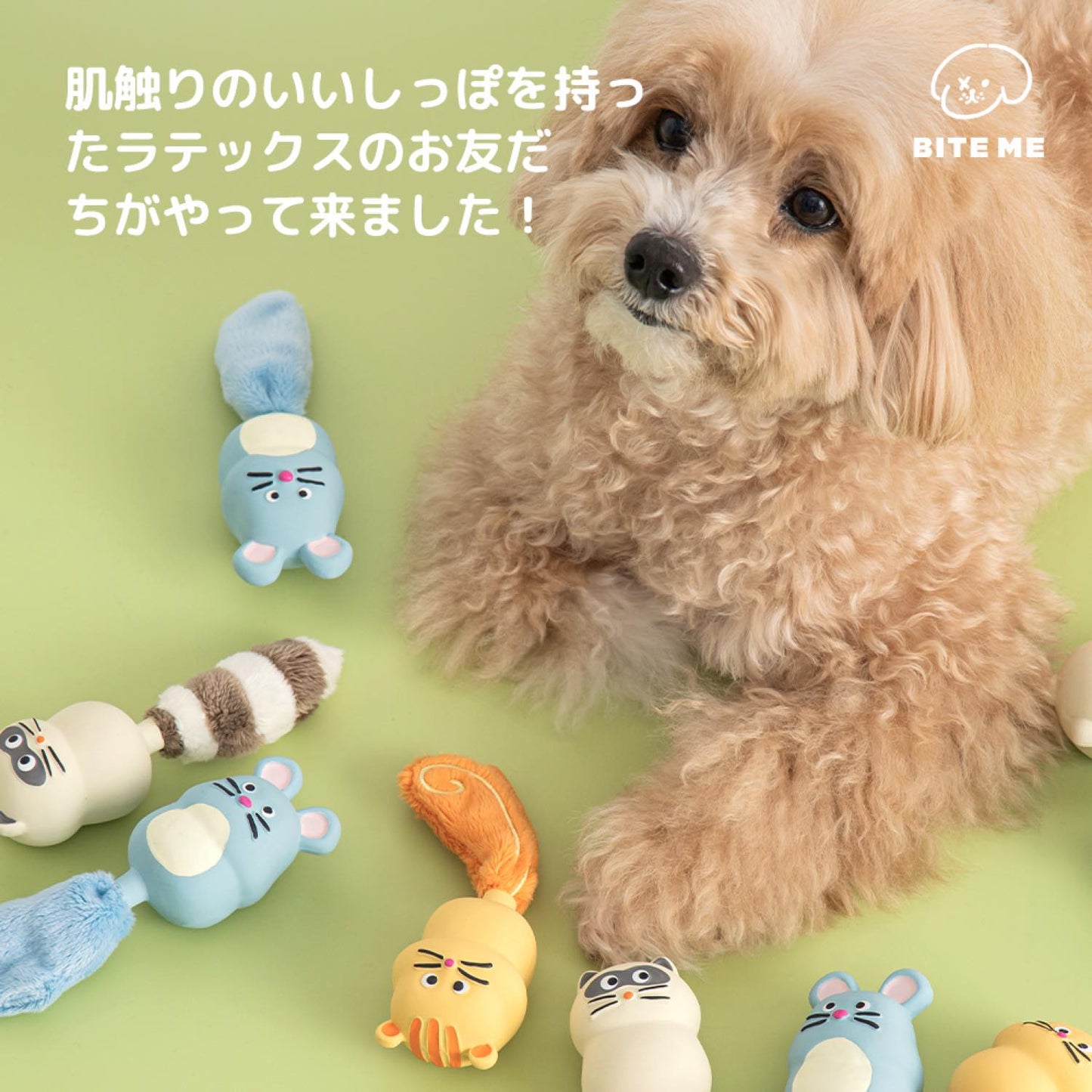 テイルズラテックスおもちゃ リス