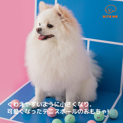 ミニテニスボールおもちゃ（3個入り）