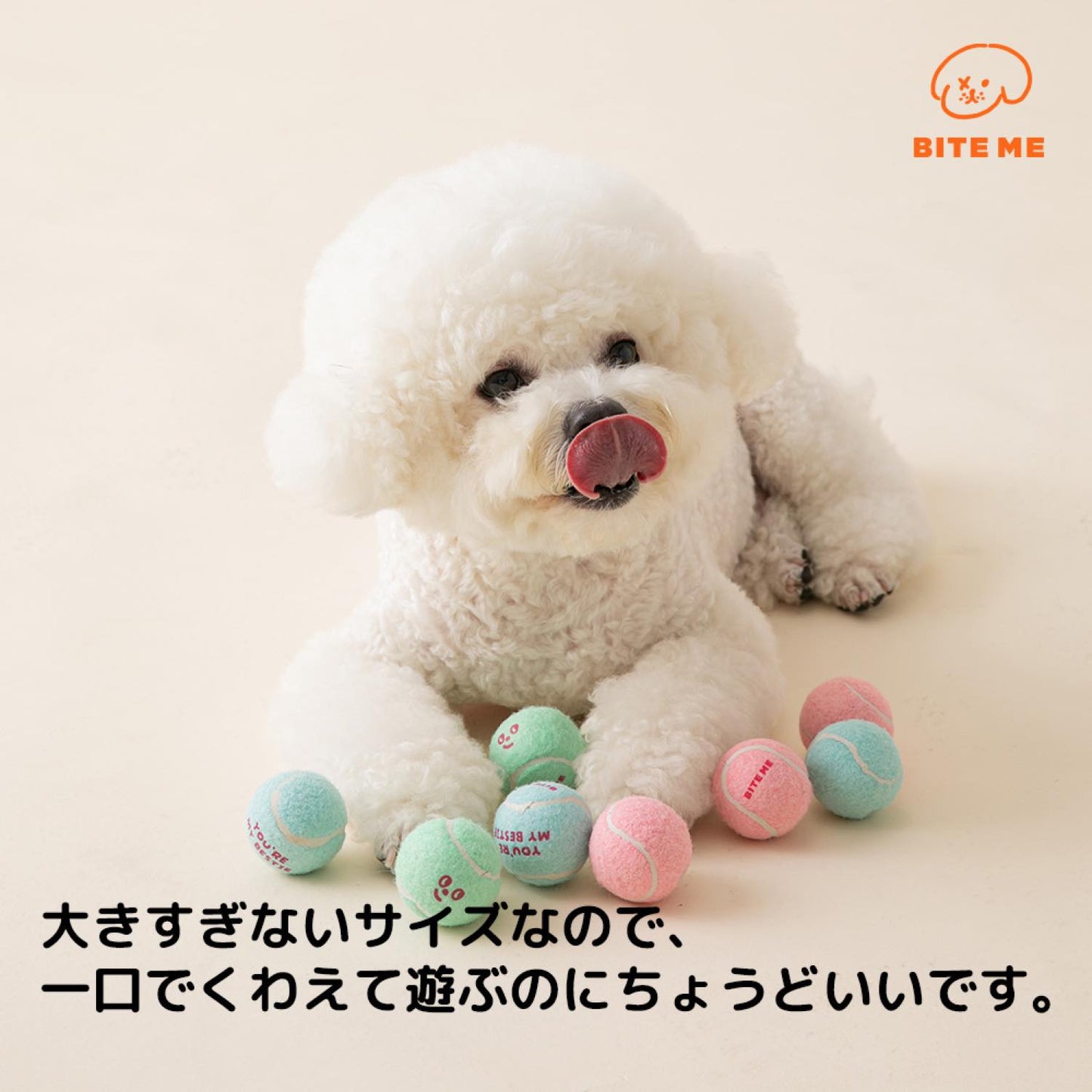 ミニテニスボールおもちゃ（3個入り）