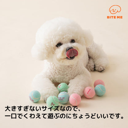 ミニテニスボールおもちゃ（3個入り）