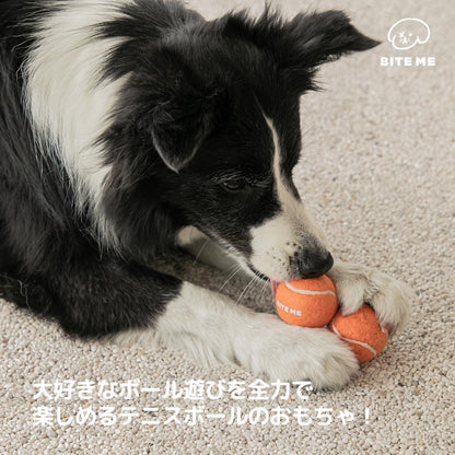 テニスボールのおもちゃ（３個入り)